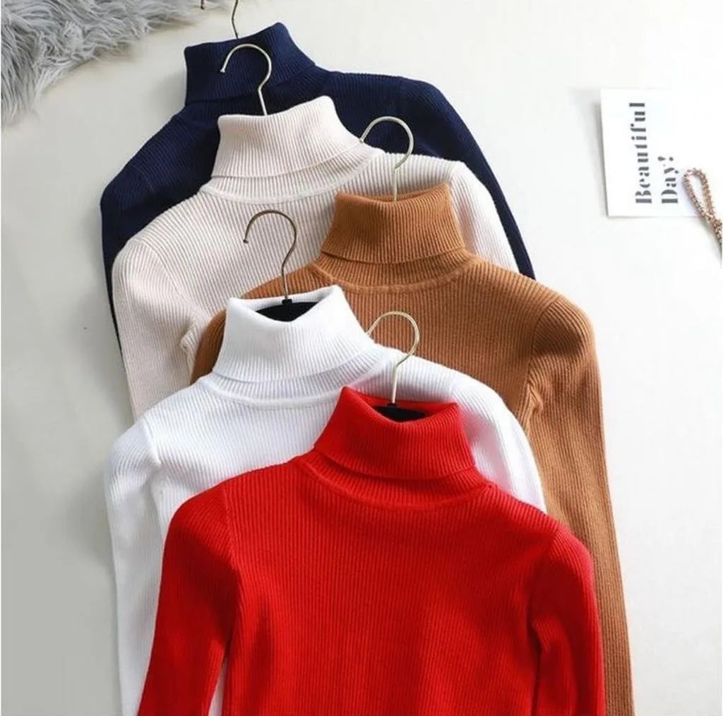 Plain Warm Fleece High neck CH-379