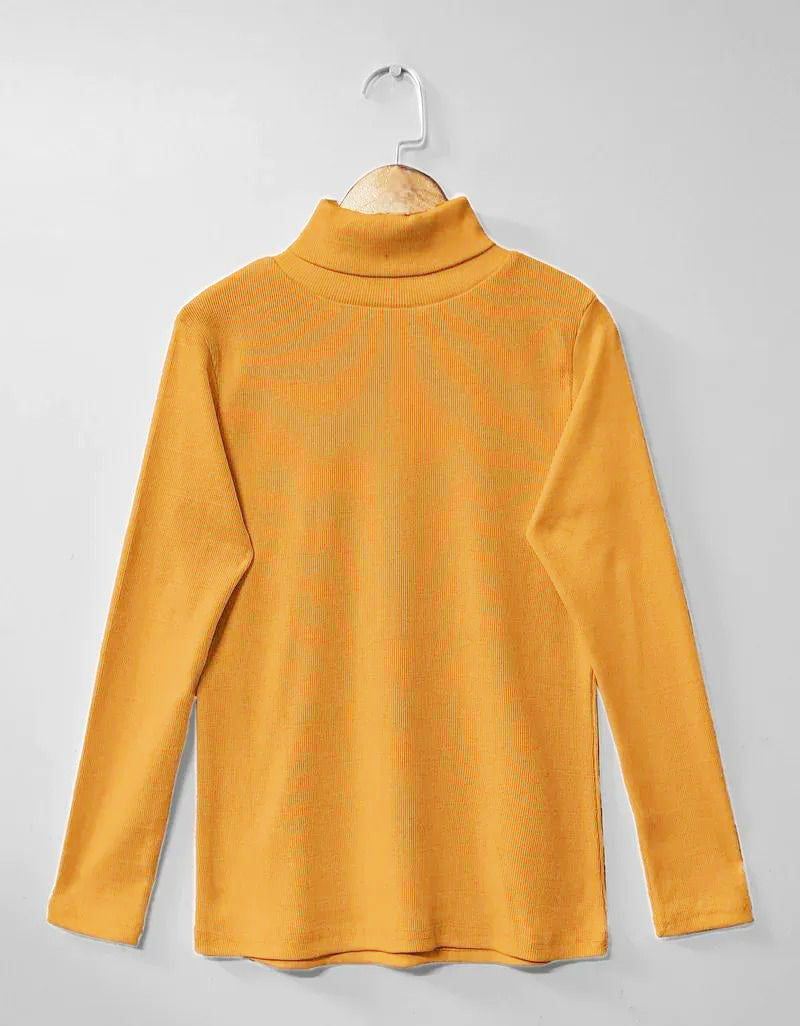 Plain Warm Fleece High neck CH-379